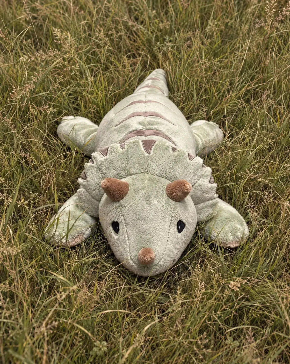 Weighted Dinosaur in Matcha, 2.3 kg, lying in the grass