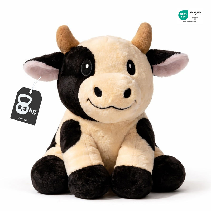 Weighted Holstein Cow 2,3 Kg - Brease - Image 1