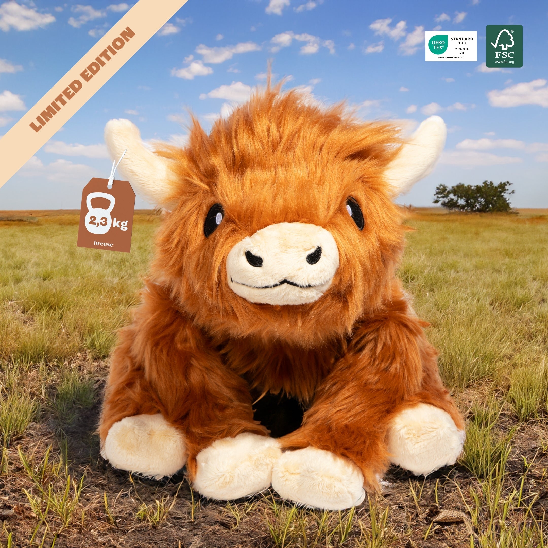 Brease® Highland Cow 2,3 Kg (Skickas den 10 Januar)