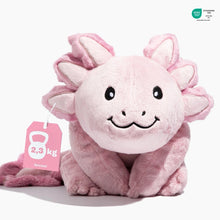 Axolotl