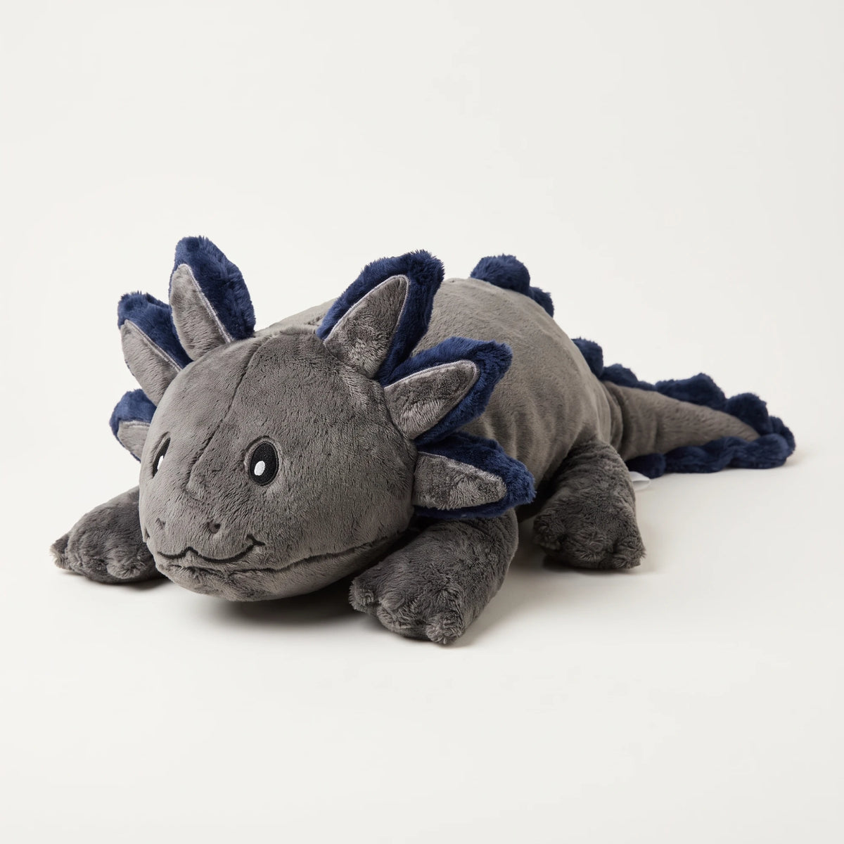 Weighted Axolotl in Blue Flame, 2.3 kg, front view on white