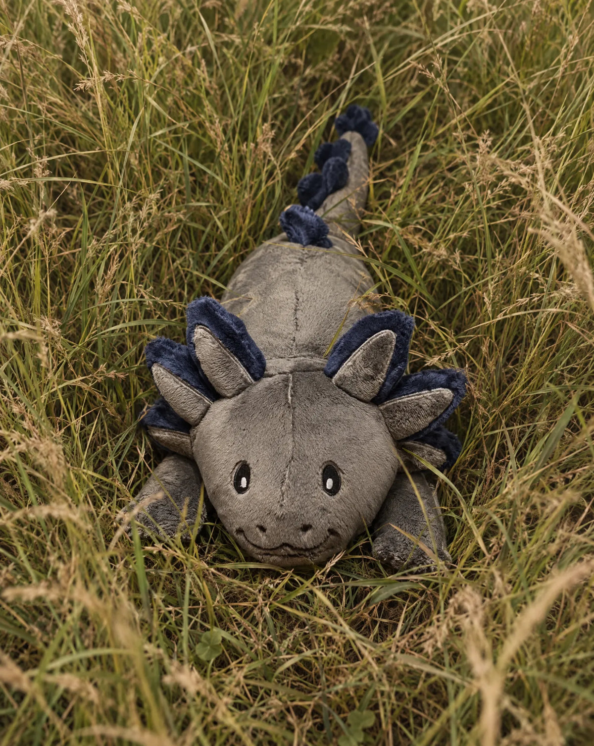 Weighted Axolotl in Blue Flame, 2.3 kg, lying in tall grass