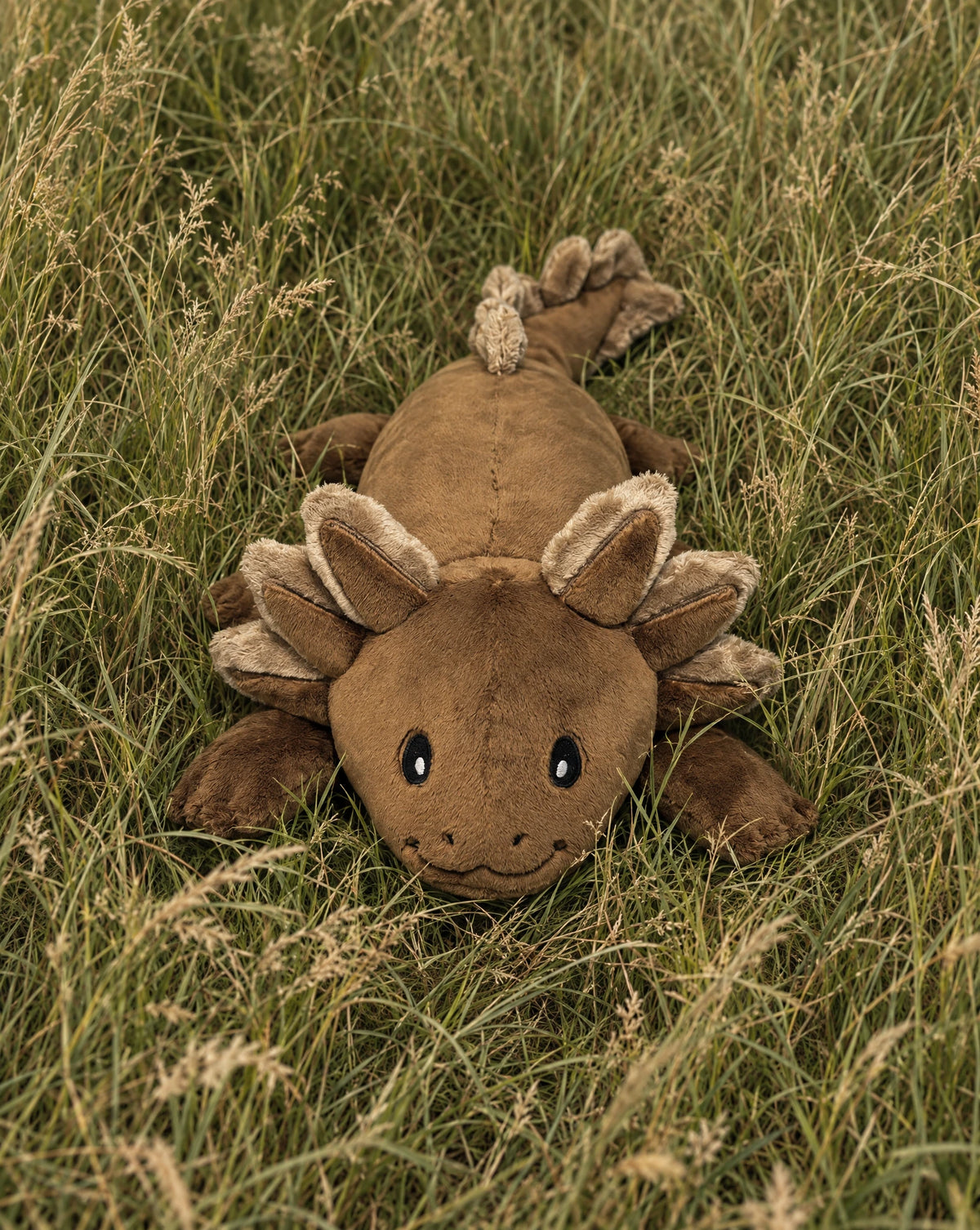 Weighted Axolotl Coffee, 2.3 kg #Colour_Coffee