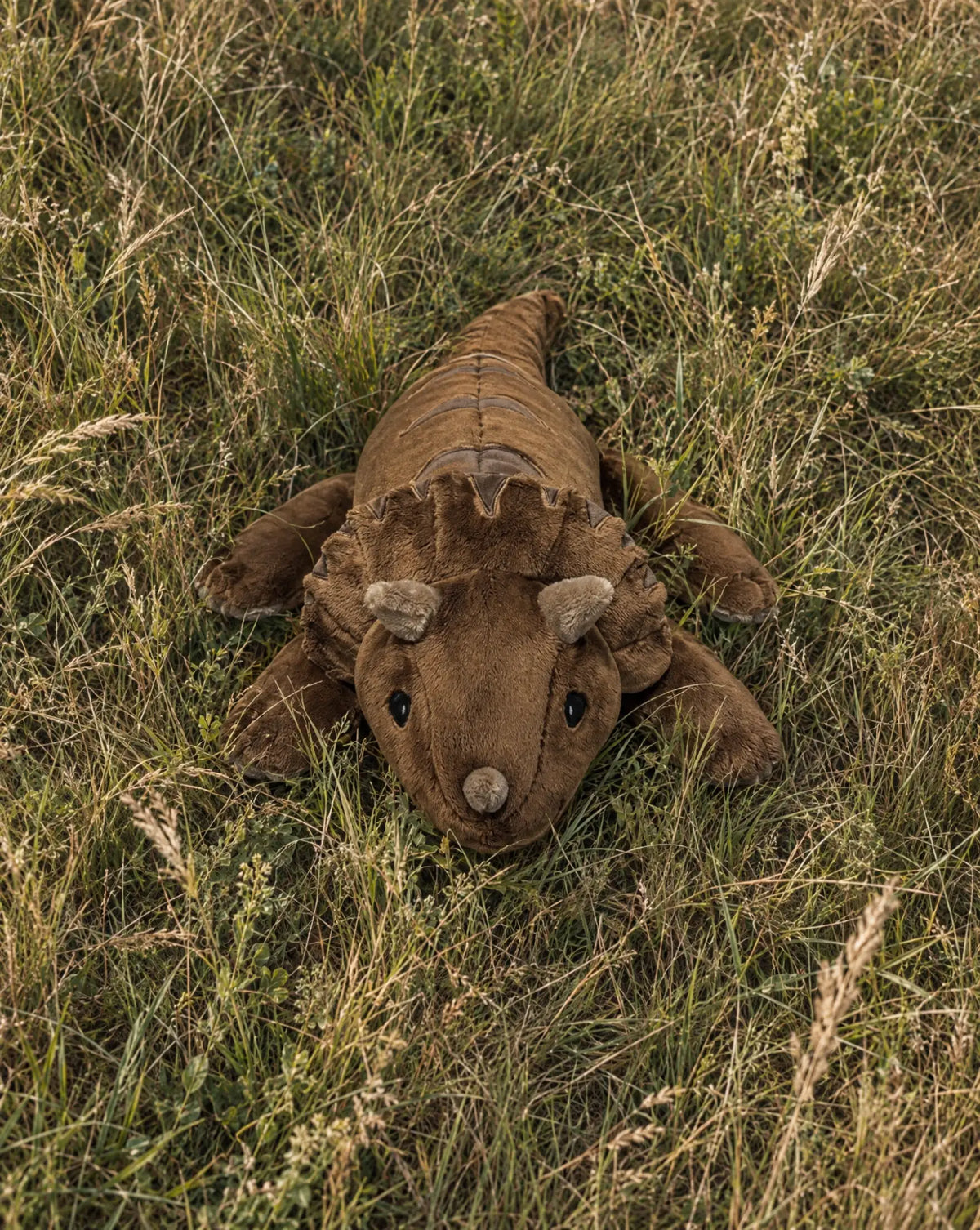 Weighted Dinosaur in Coffee lying in tall grass #Colour_Coffee