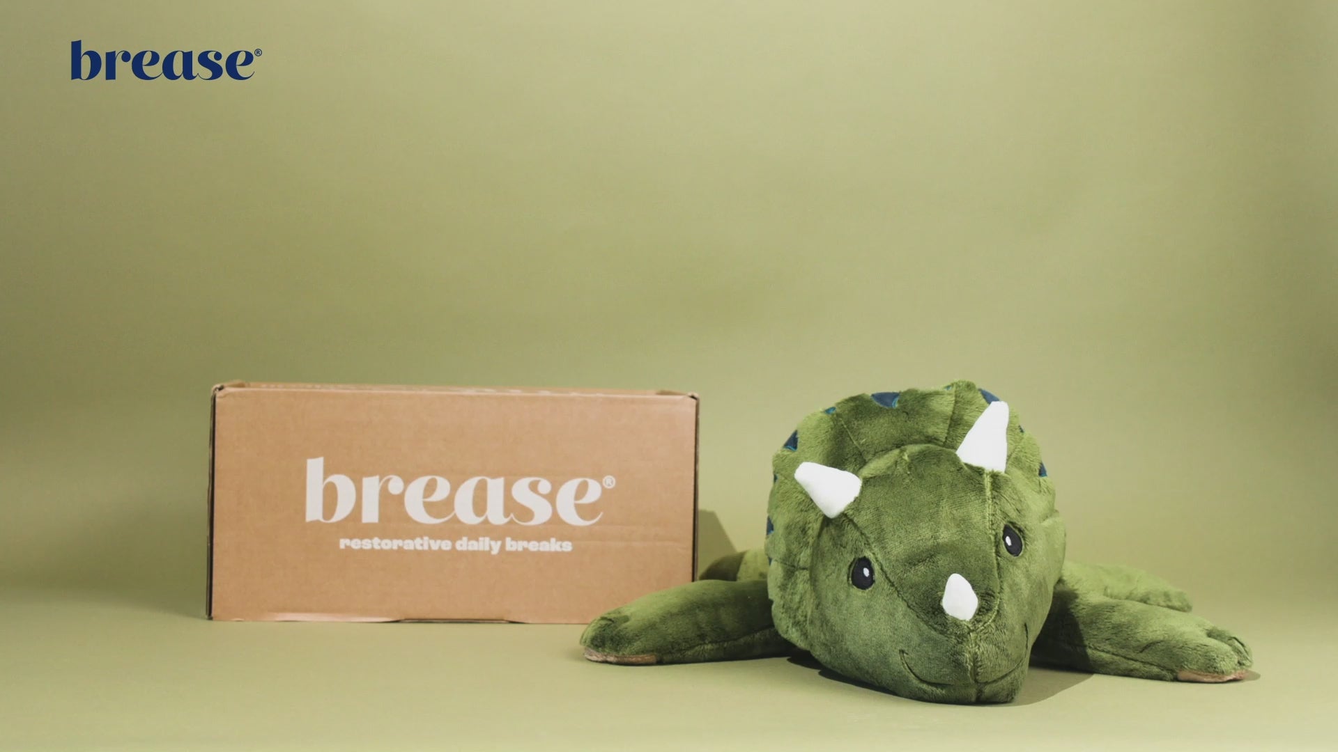 Load video: weighted dinosaur plush video