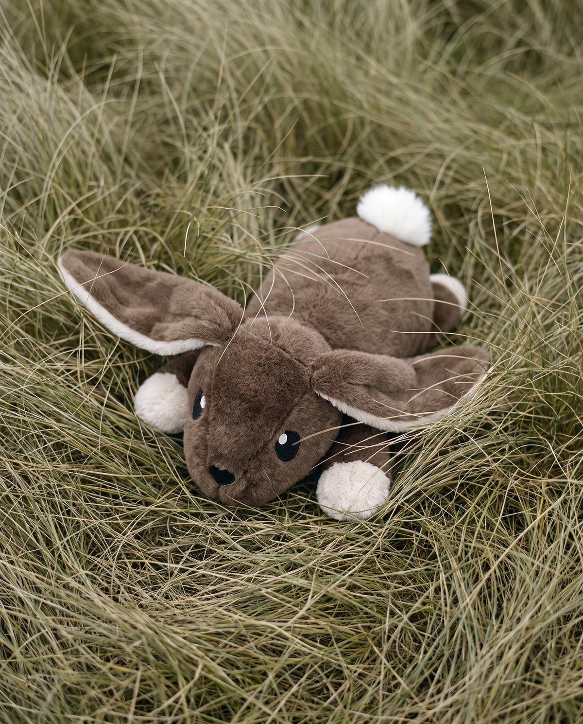 Brease Weighted Rabbit 5 lb lying in soft prairie grass, chocolate brown fur with cream ear linings and white pom pom tail