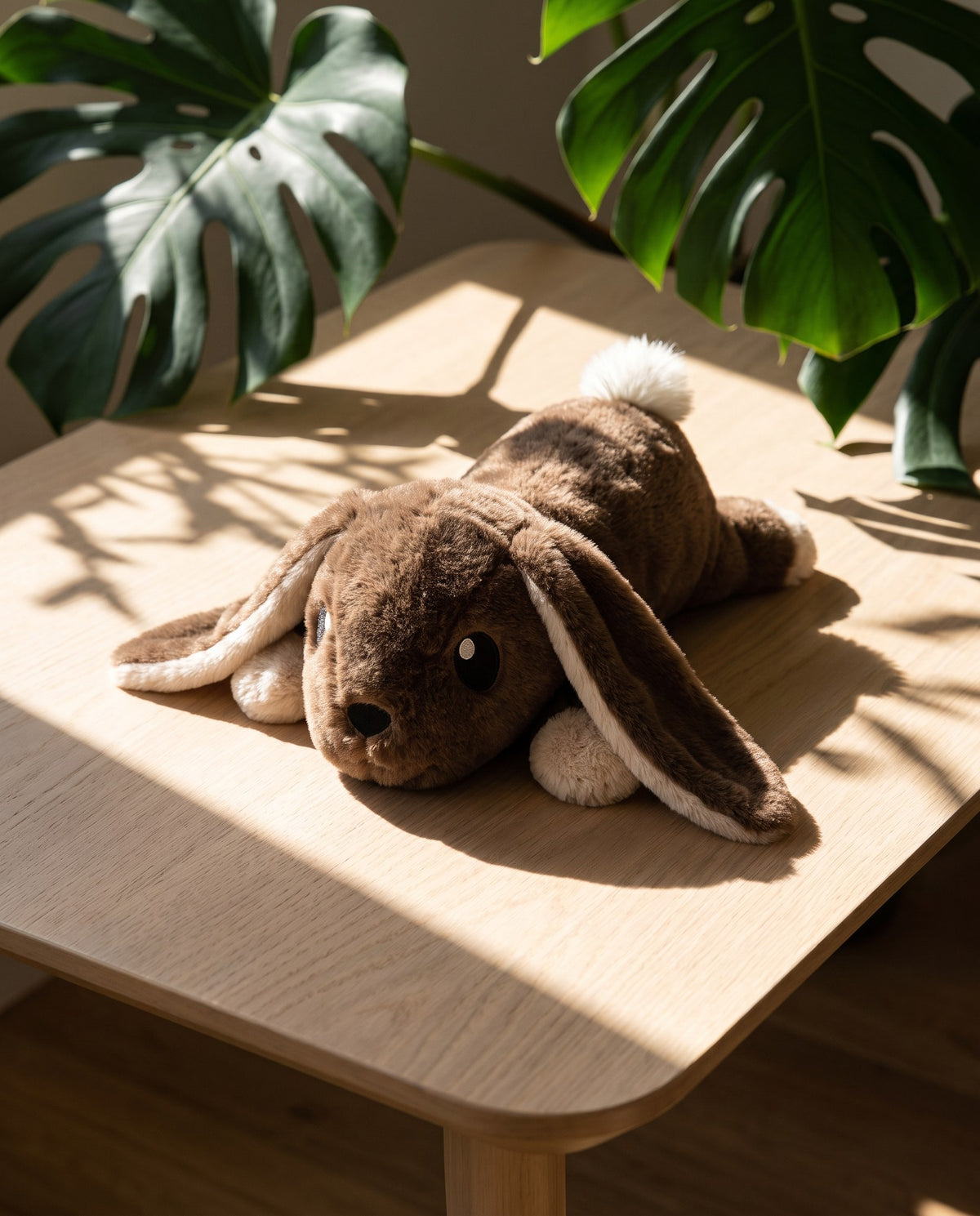 Brease Weighted Rabbit 5 lb resting on a light oak table in warm sunlight under a monstera plant